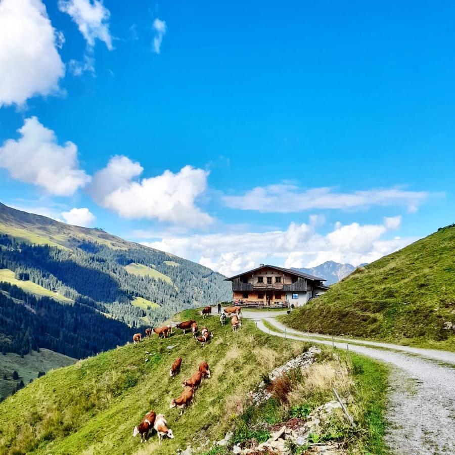 Ferienwohnungen Lehenhof อัลพ์บาค ภายนอก รูปภาพ