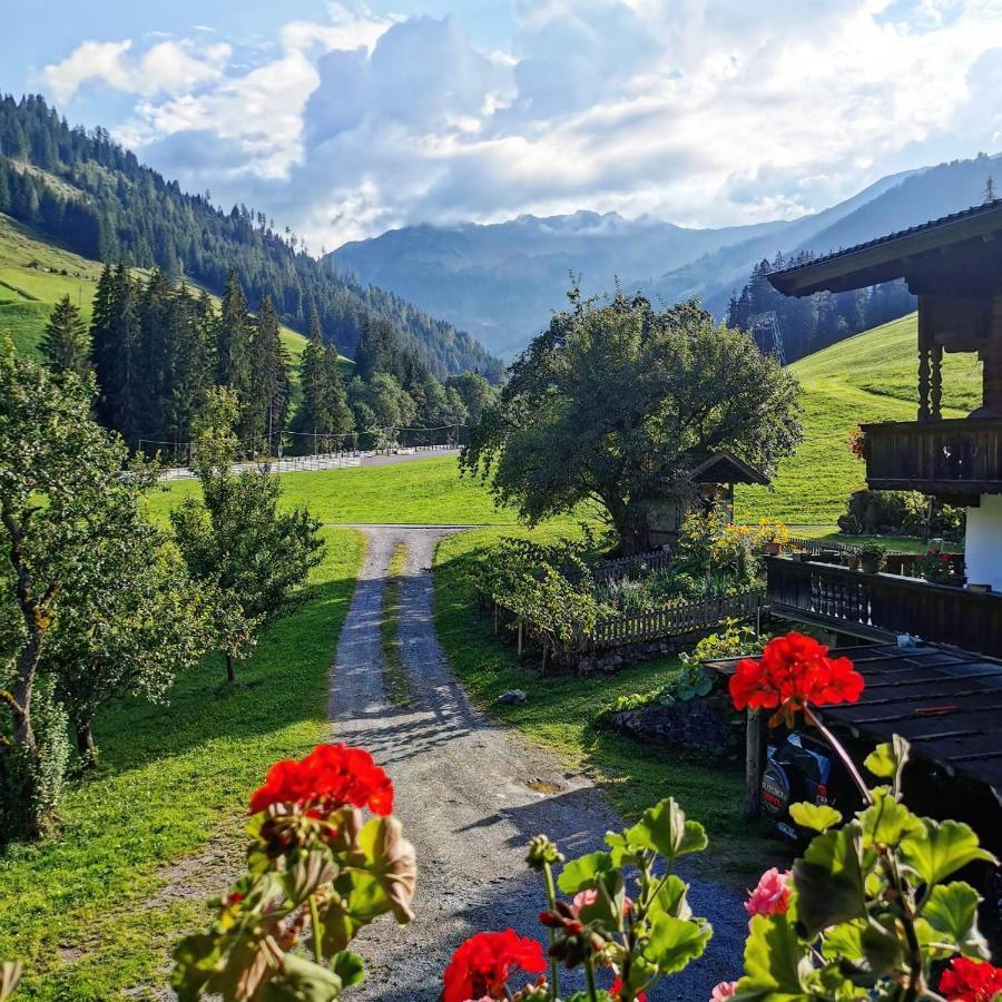 Ferienwohnungen Lehenhof อัลพ์บาค ภายนอก รูปภาพ