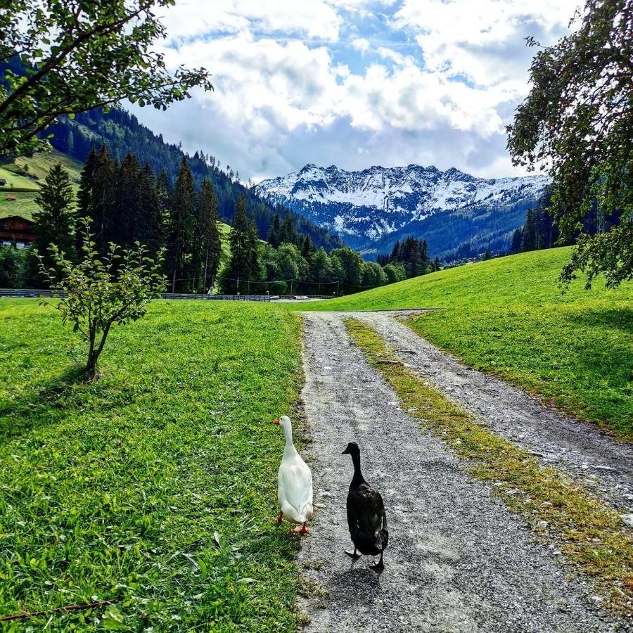 Ferienwohnungen Lehenhof อัลพ์บาค ภายนอก รูปภาพ