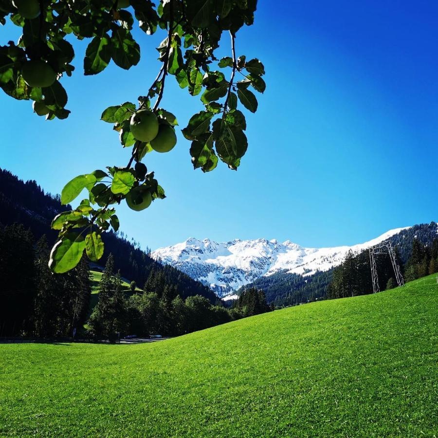 Ferienwohnungen Lehenhof อัลพ์บาค ภายนอก รูปภาพ