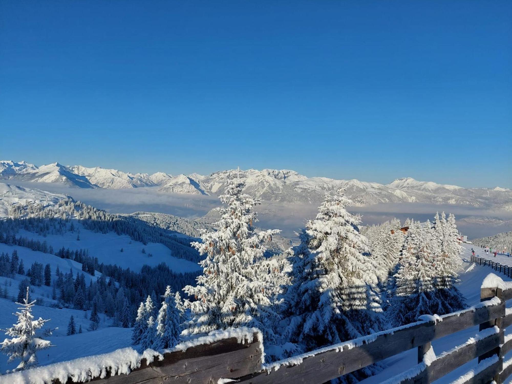 Ferienwohnungen Lehenhof อัลพ์บาค ภายนอก รูปภาพ